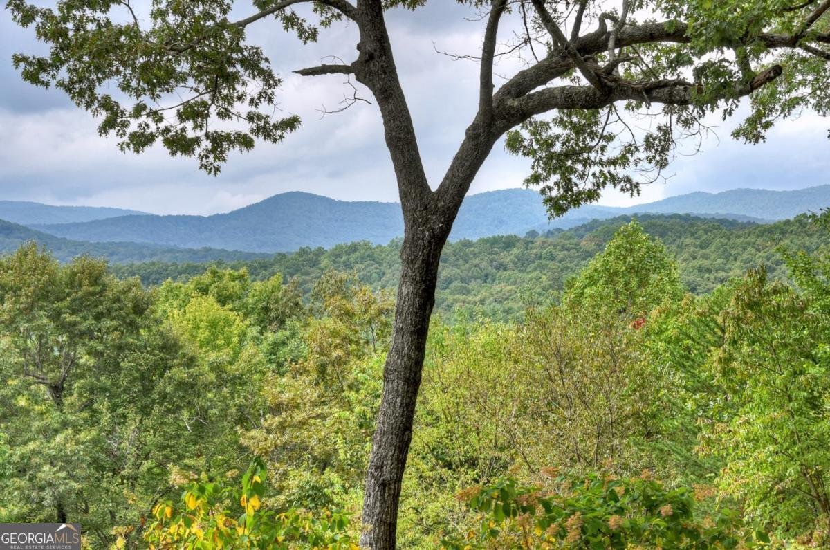 344 Cascades Lane Blue Ridge - 13