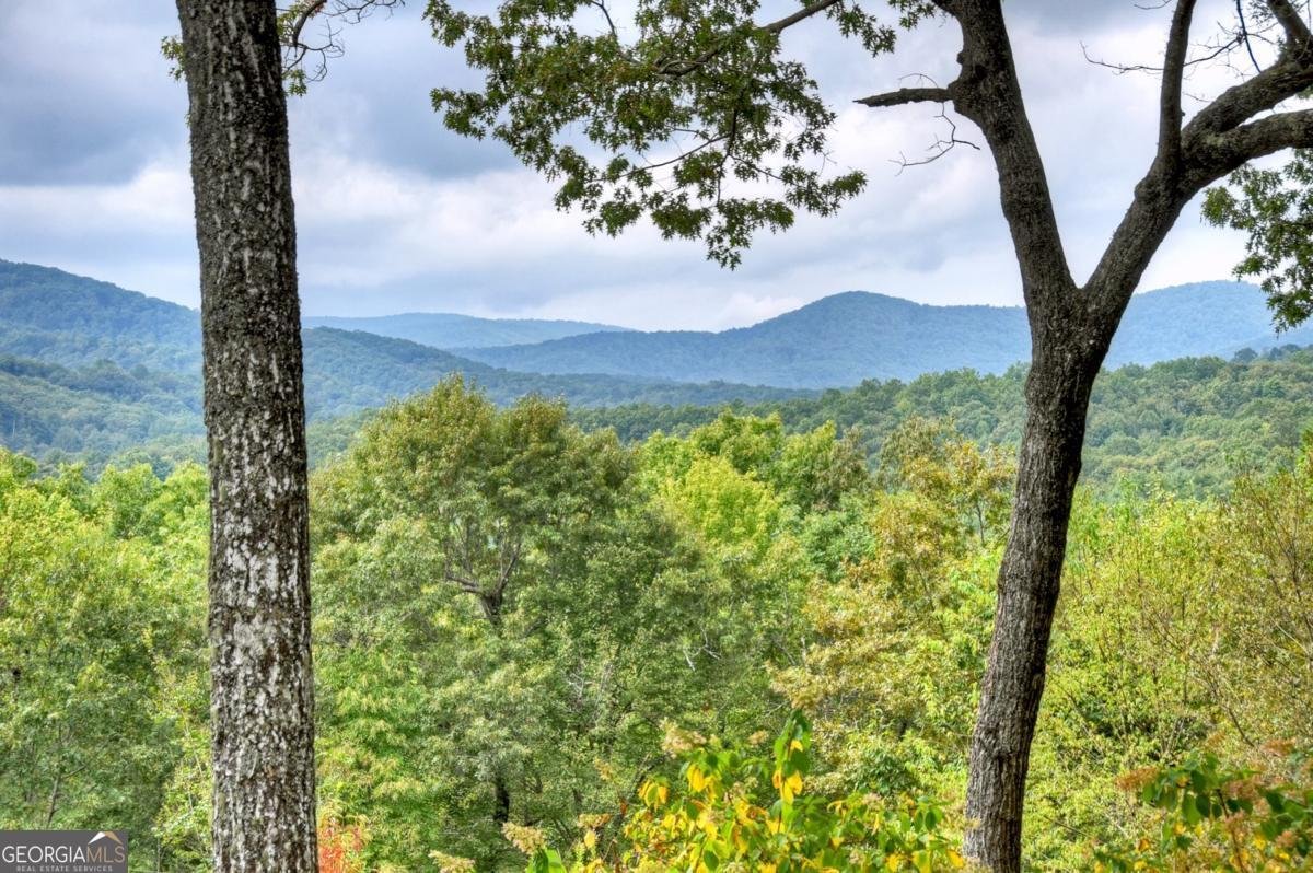 344 Cascades Lane Blue Ridge - 3