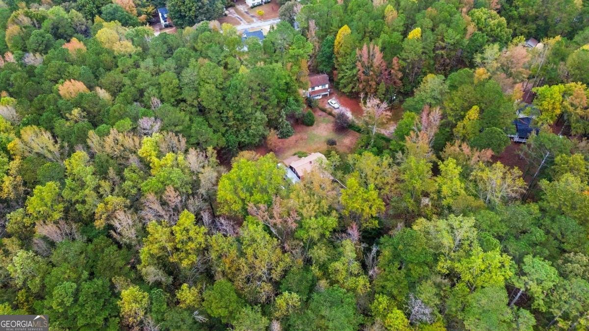 170 Pebble Path Douglasville - 10