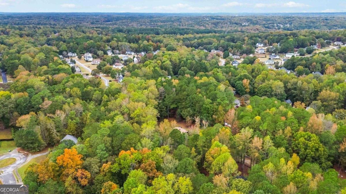 170 Pebble Path Douglasville - 13