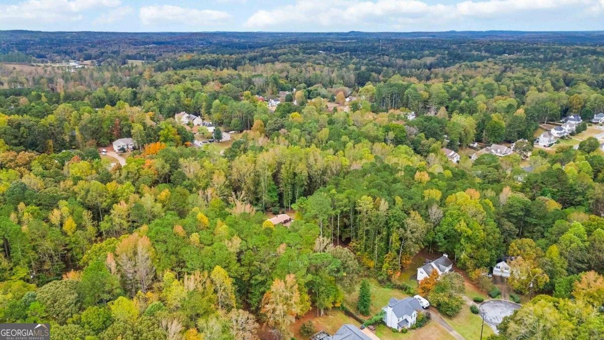 170 Pebble Path Douglasville - 18