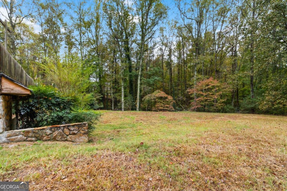 170 Pebble Path Douglasville - 5