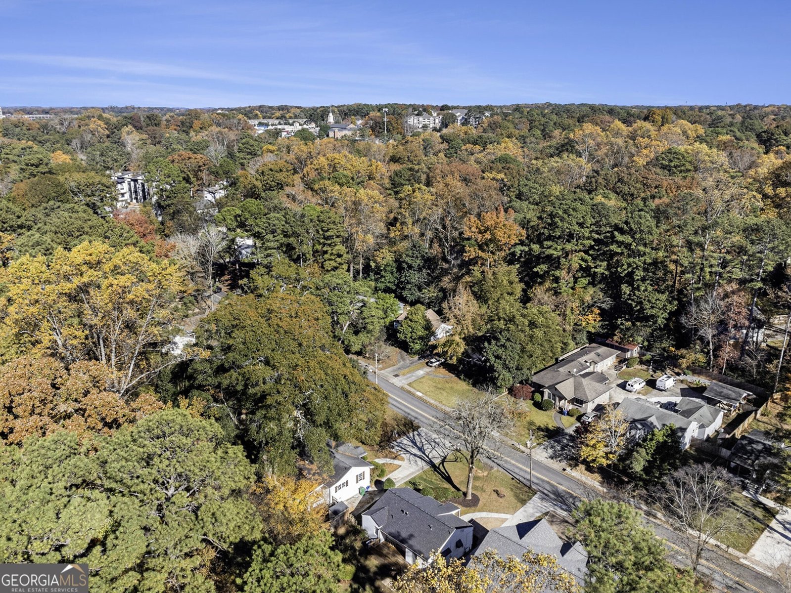 1116 Shepherds Lane Atlanta - 29