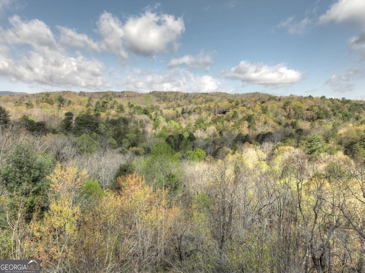 237 Dupont Drive Blue Ridge - 15