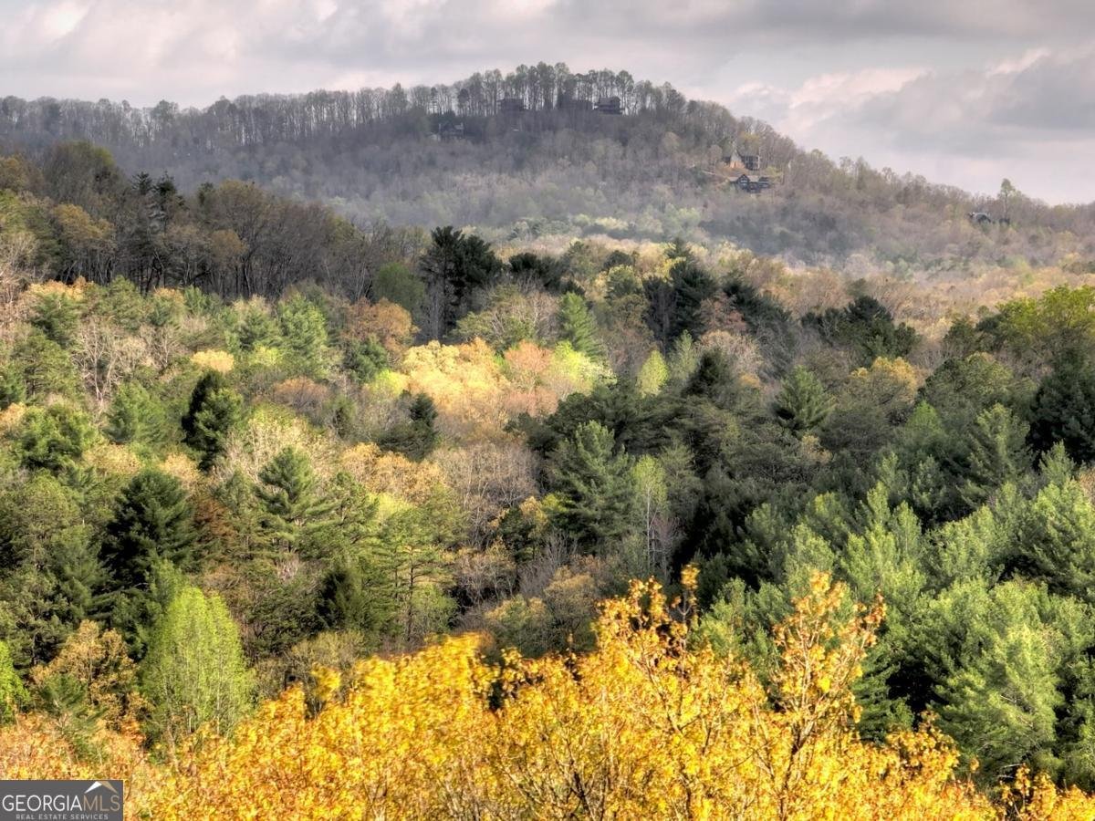 237 Dupont Drive Blue Ridge - 17