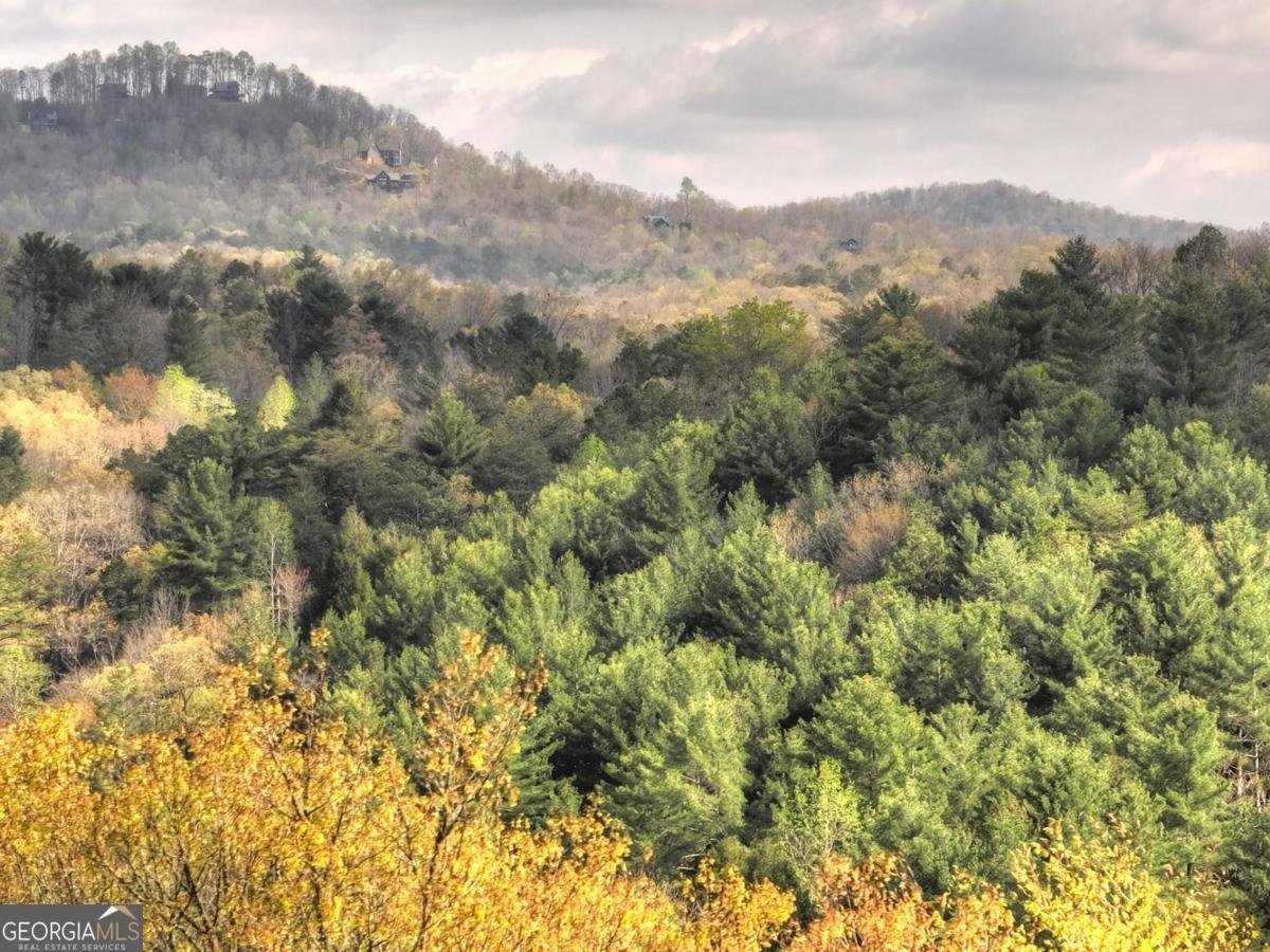 237 Dupont Drive Blue Ridge - 18