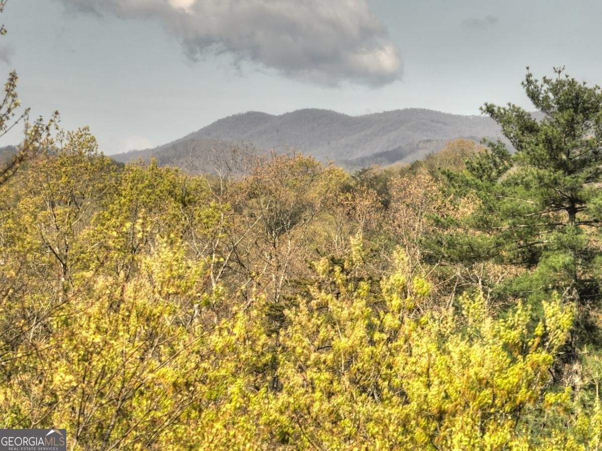 237 Dupont Drive Blue Ridge - 19