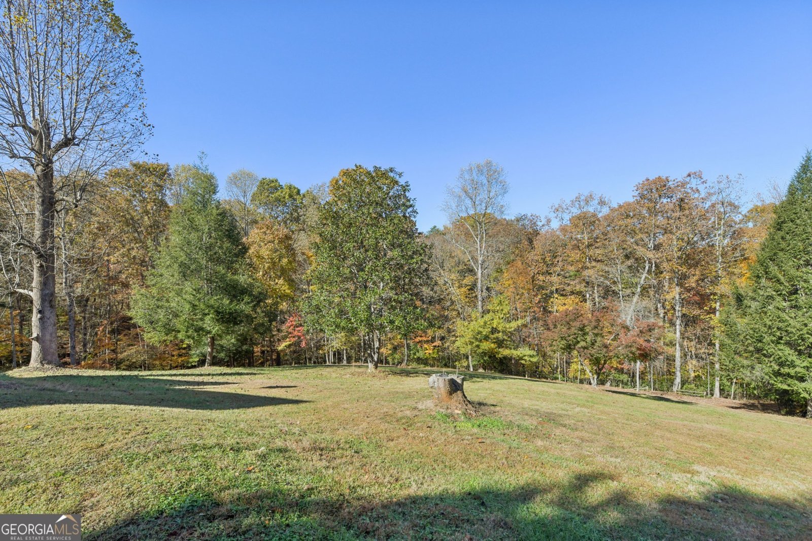 97 Beaumont Drive Dahlonega - 23