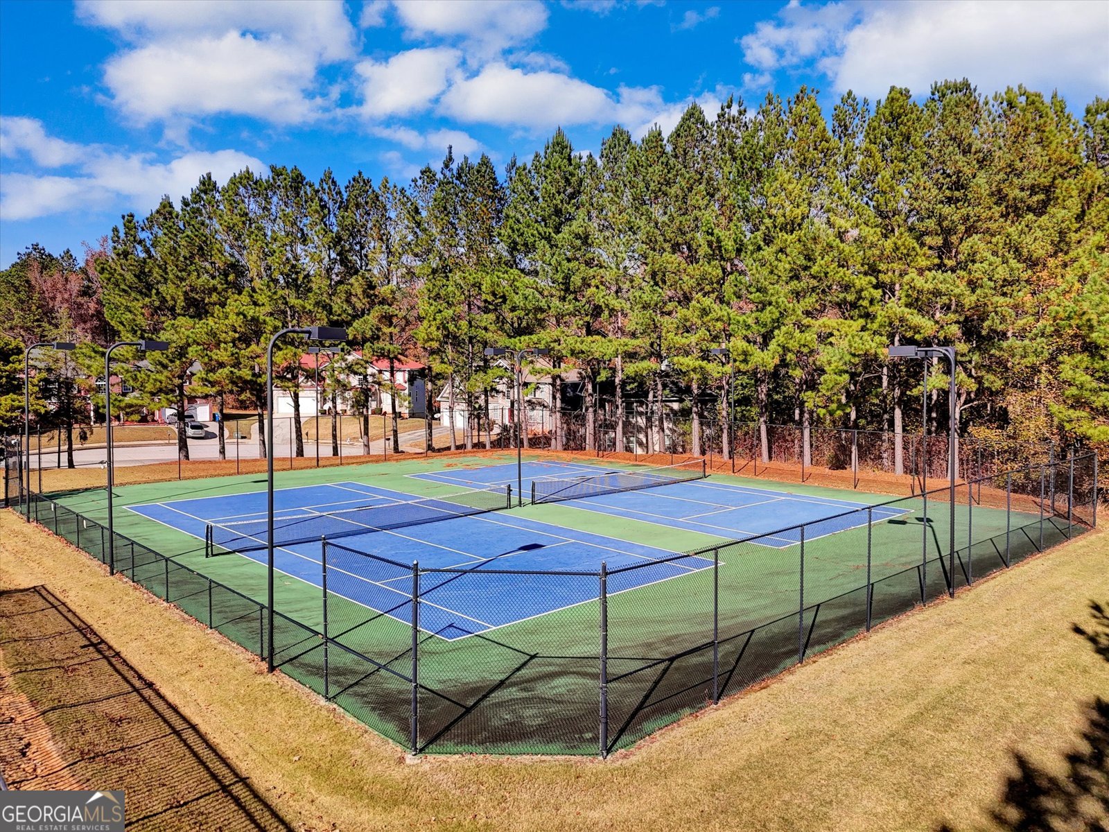 6253 Selborn Drive Atlanta - 43