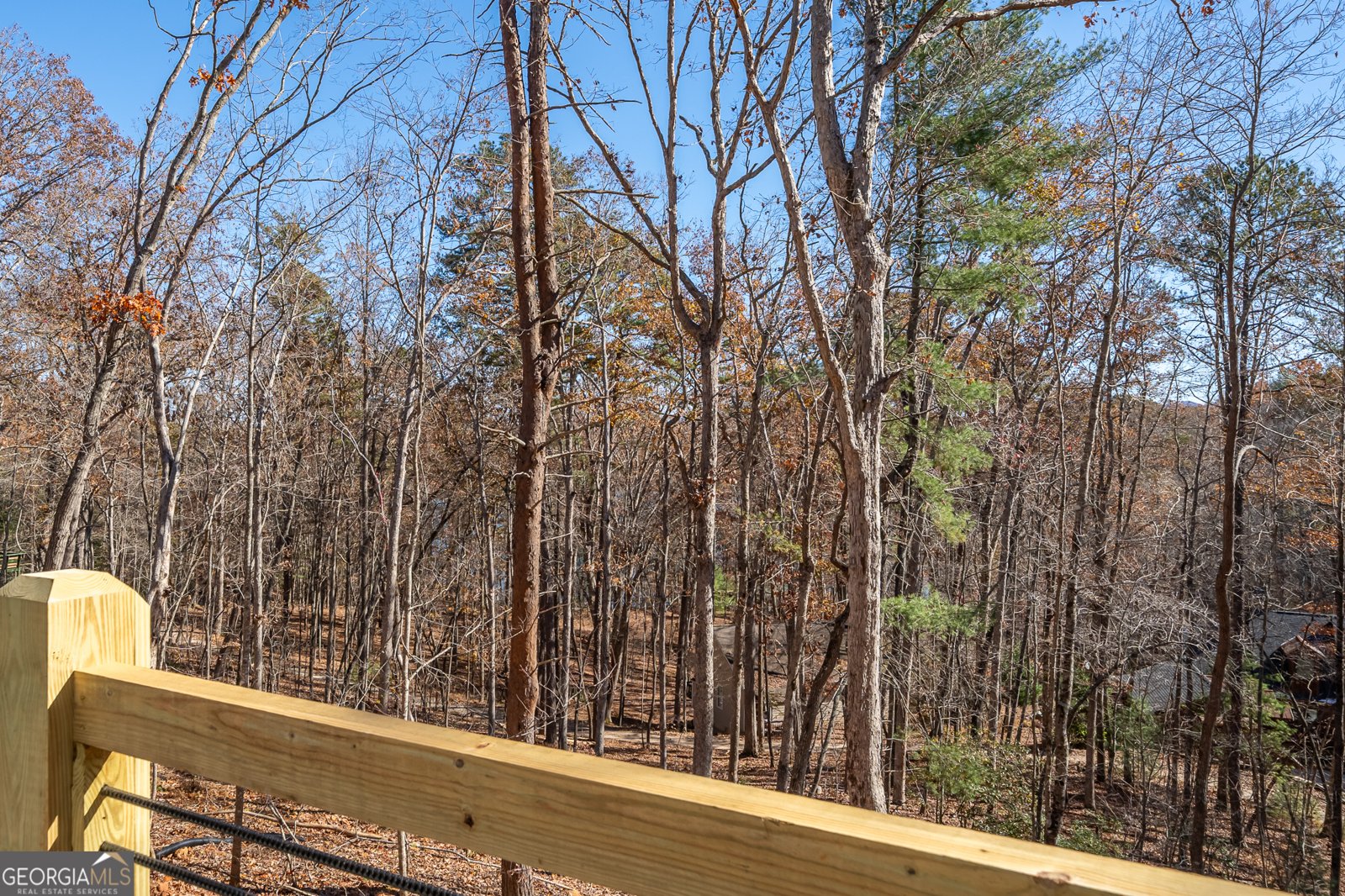 294 Campbell Camp Circle Blue Ridge - 8