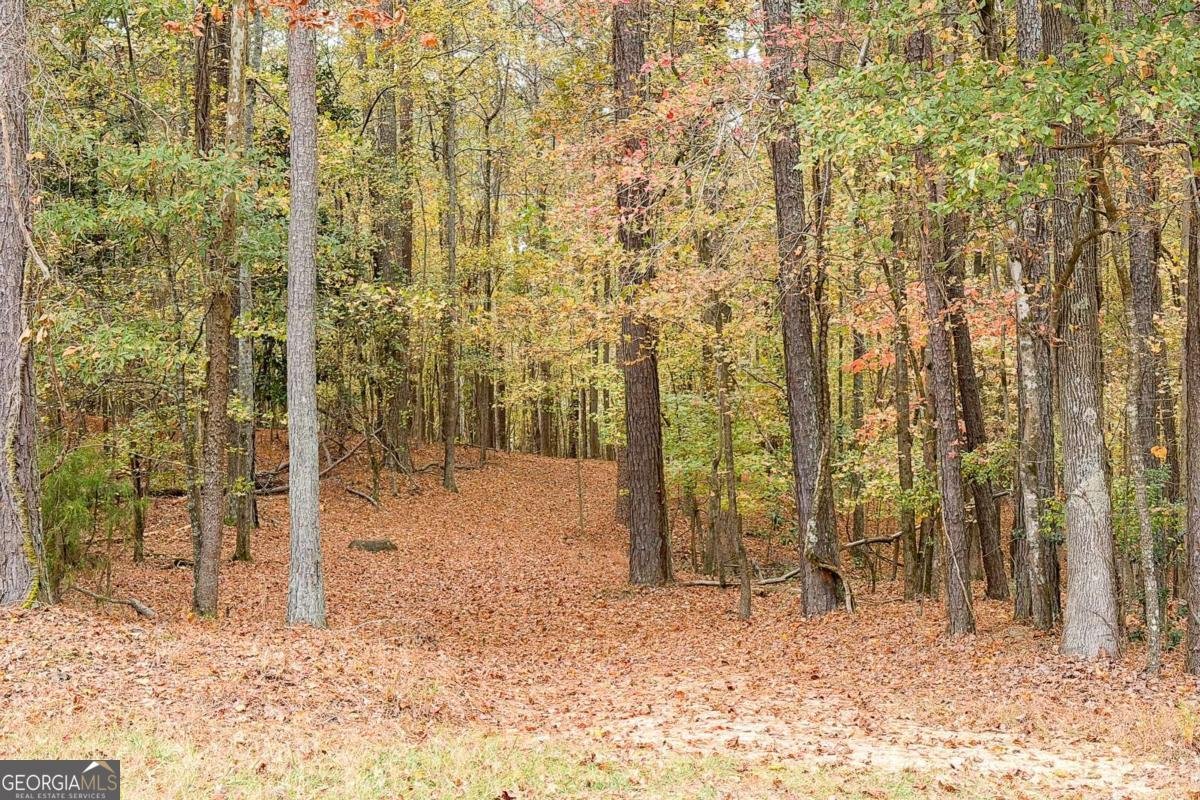 5213 Bowsprit Point Acworth - 9