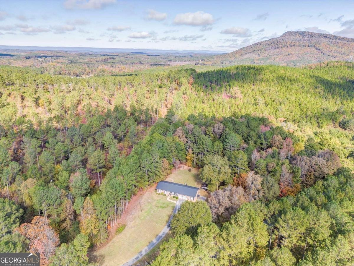 8690 Silver Hill Lyerly - 34