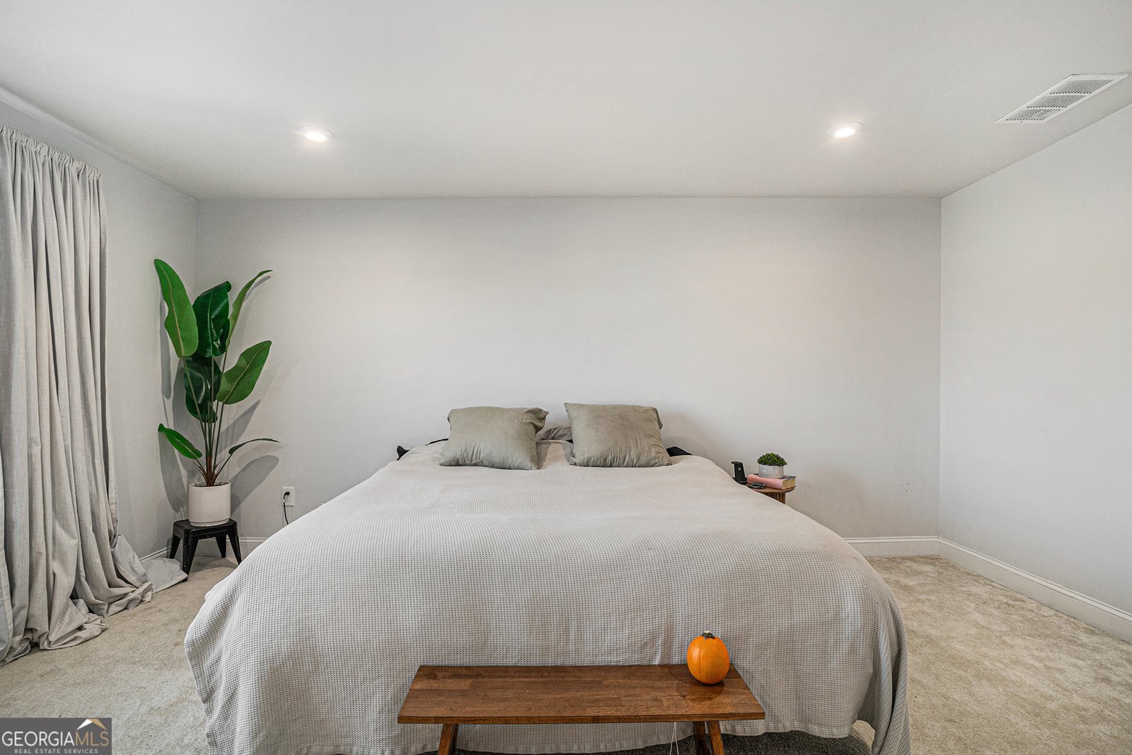 236 Himalaya Way McDonough - 20