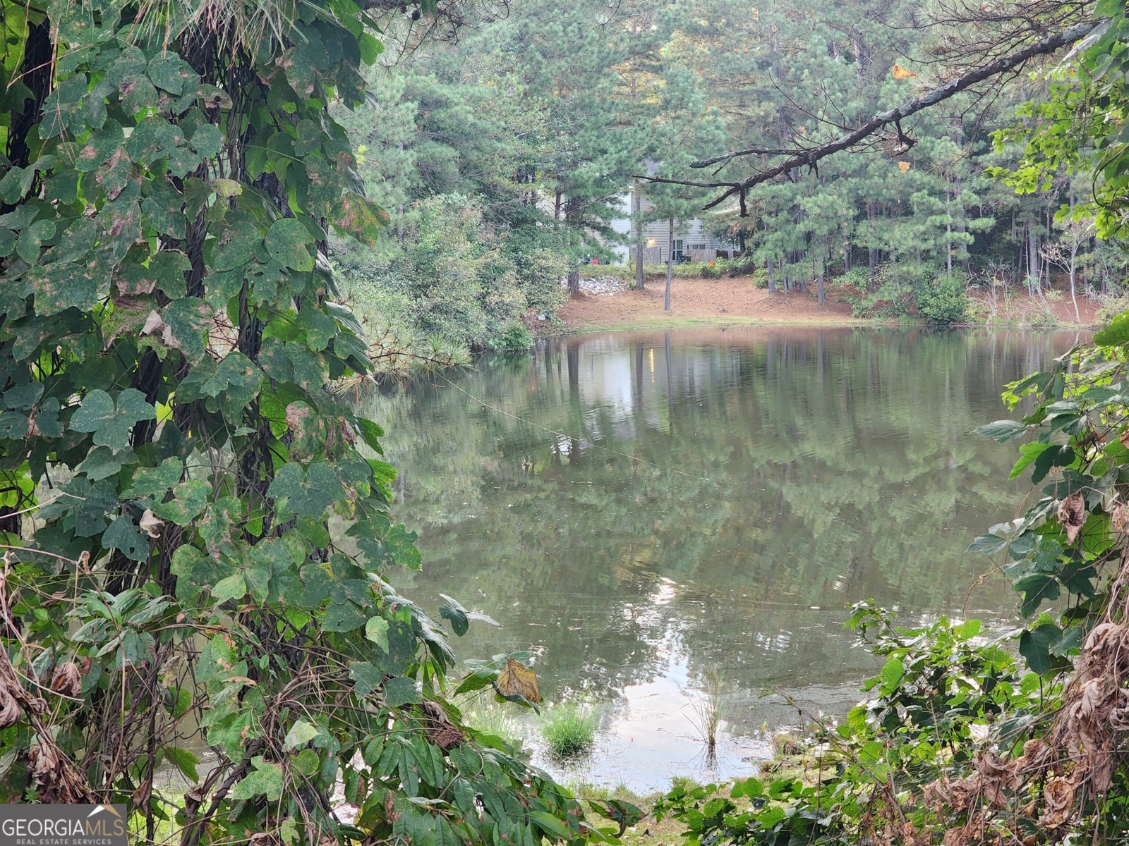 1512 Rogers Preserve Road Lithonia - 11