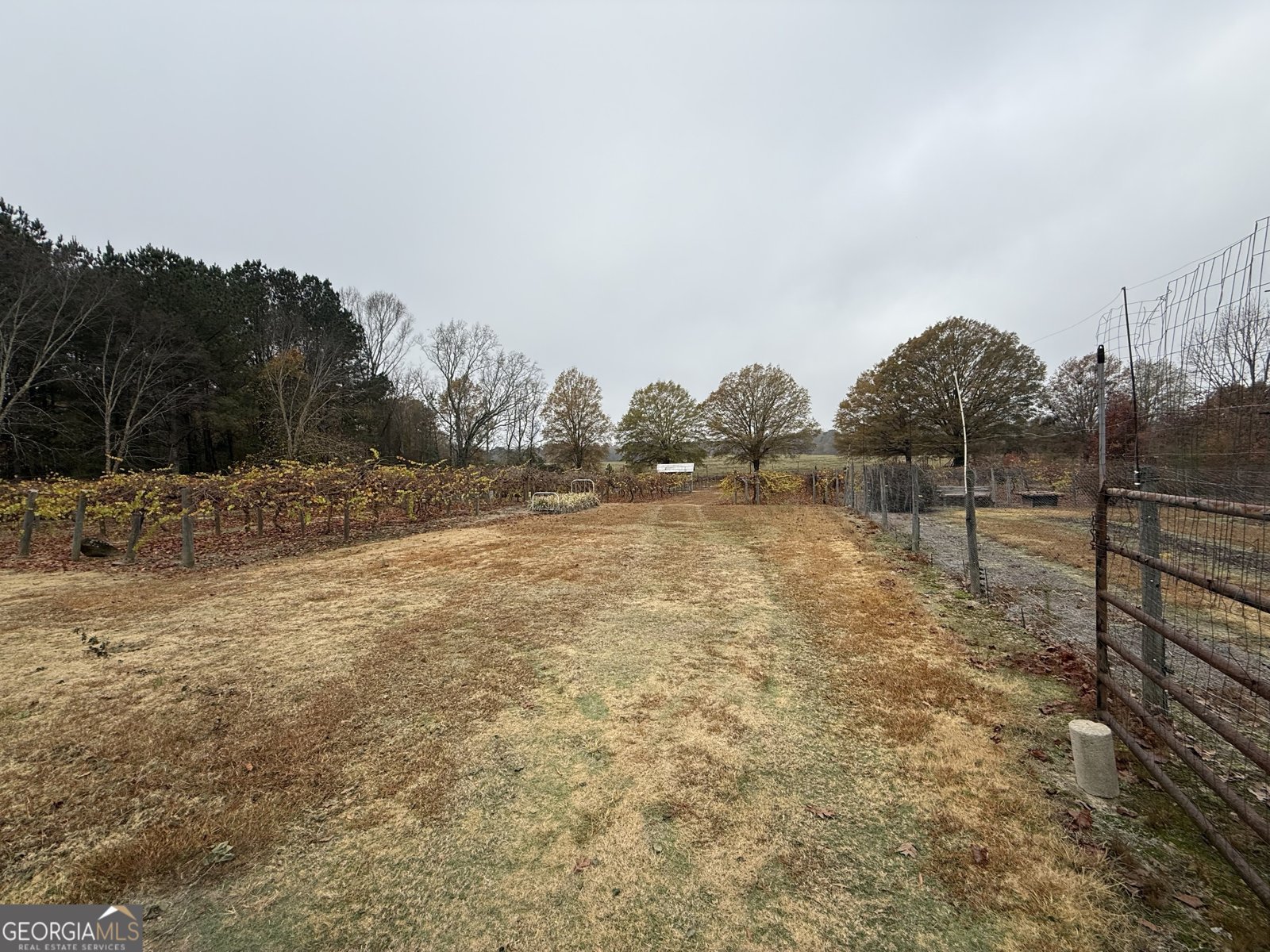 308 Deer Run Williamson - 13