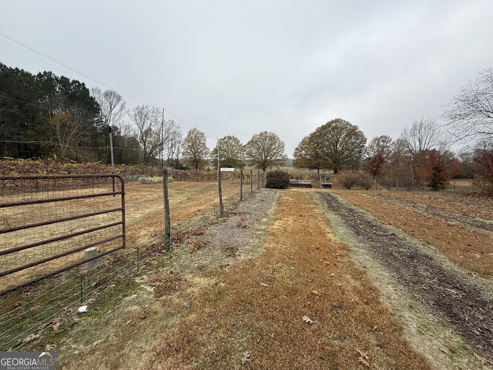 308 Deer Run Williamson - 15