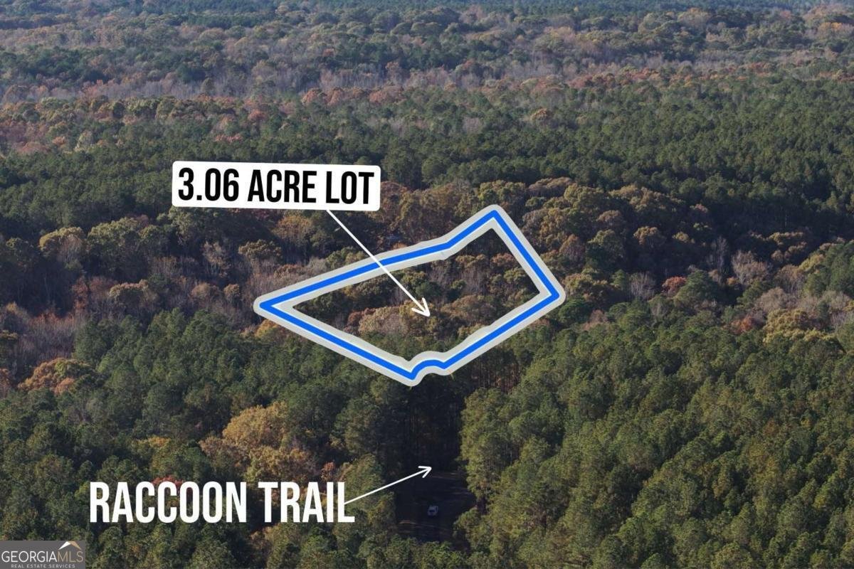 0 RACCOON Trail Elberton - 29