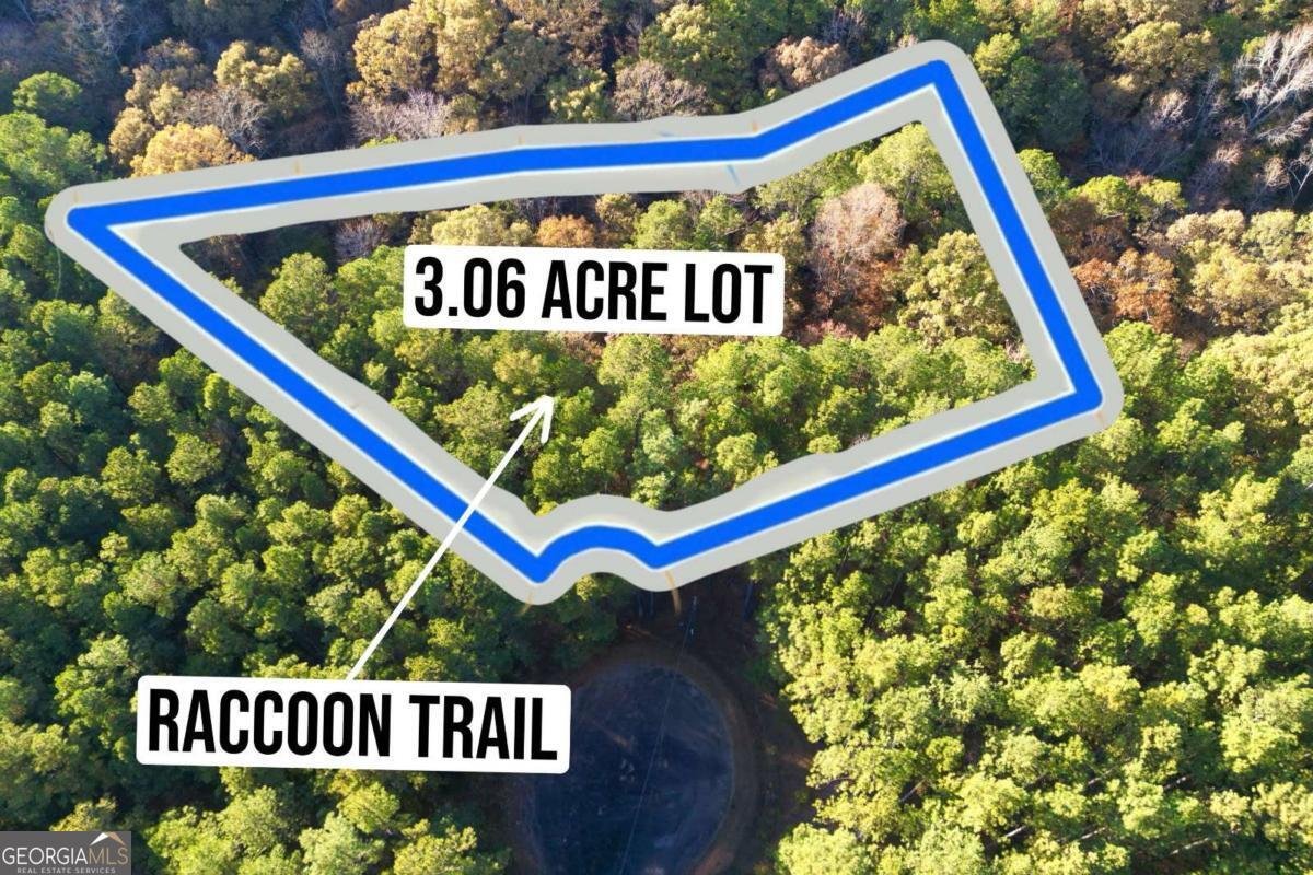 0 RACCOON Trail Elberton - 4