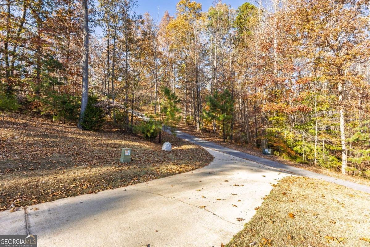 452 Red Mountain Road Dallas - 48