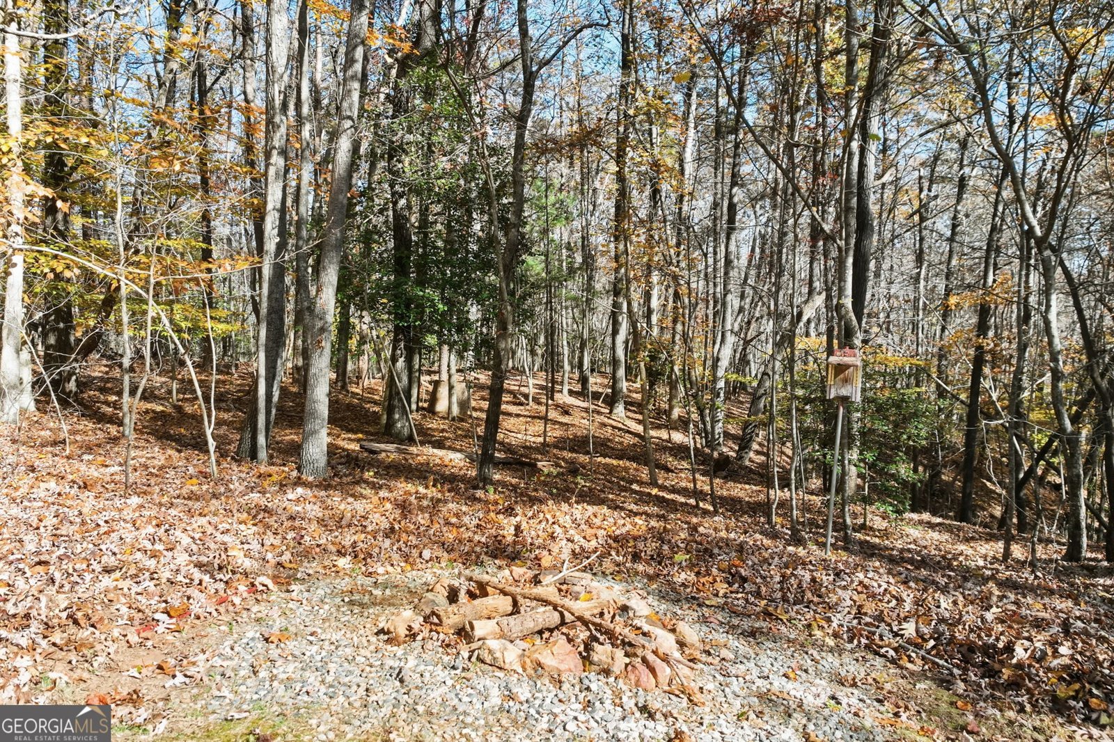 1202 Oak Grove Road Dahlonega - 3