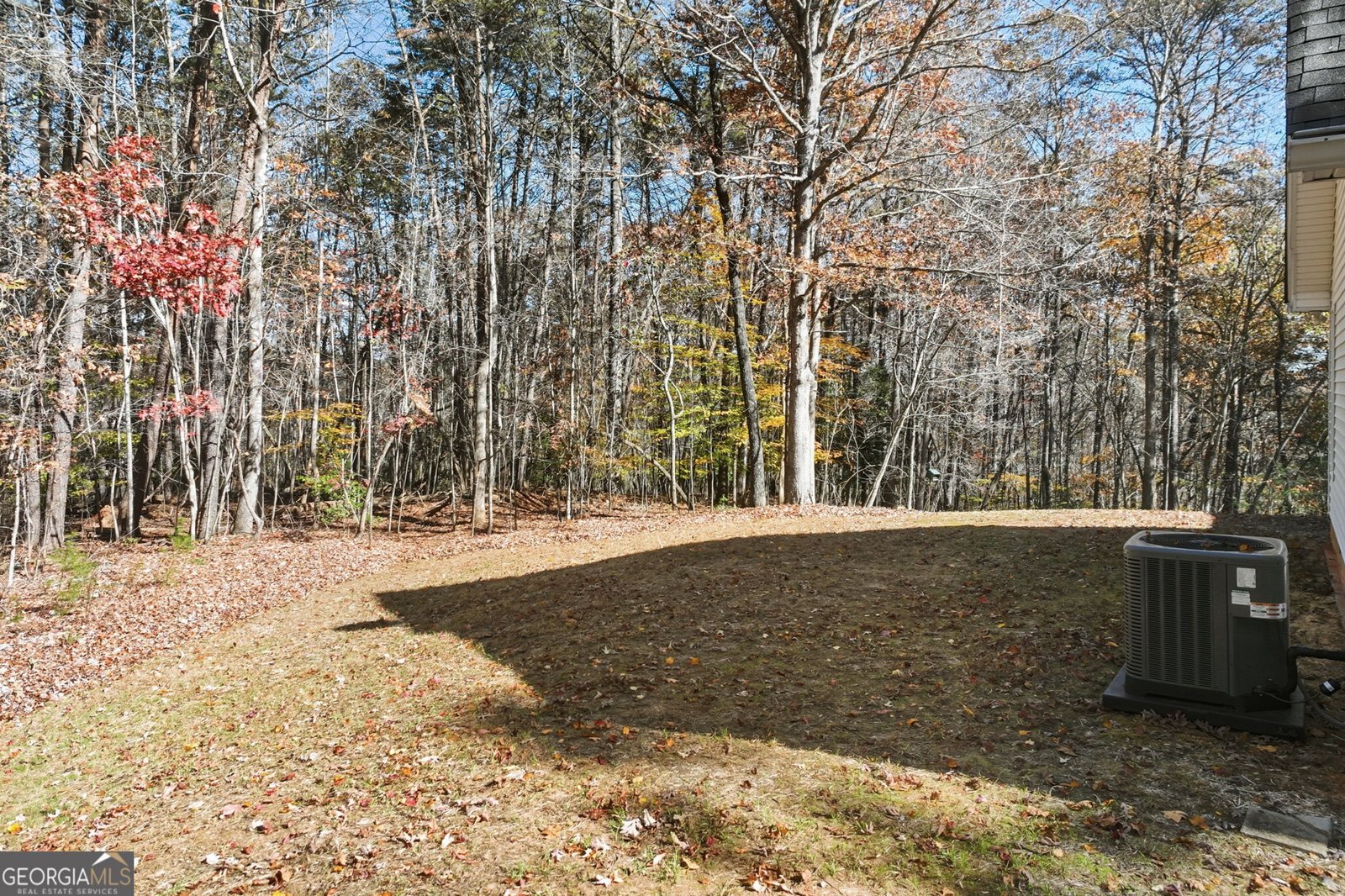 1202 Oak Grove Road Dahlonega - 4