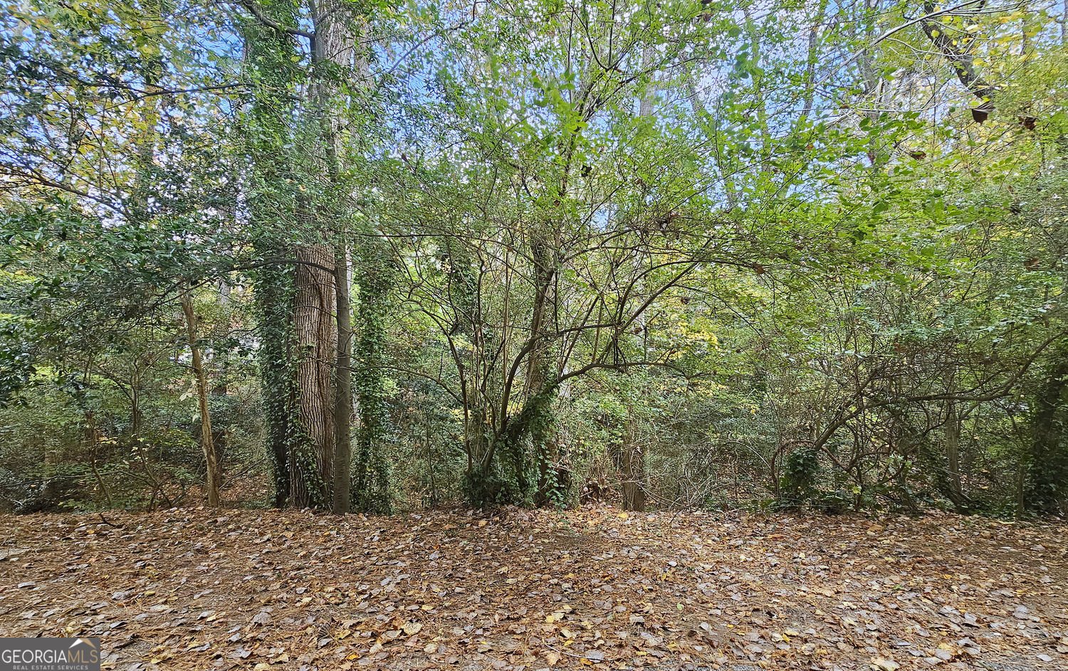 77 De Arc Place Atlanta - 34