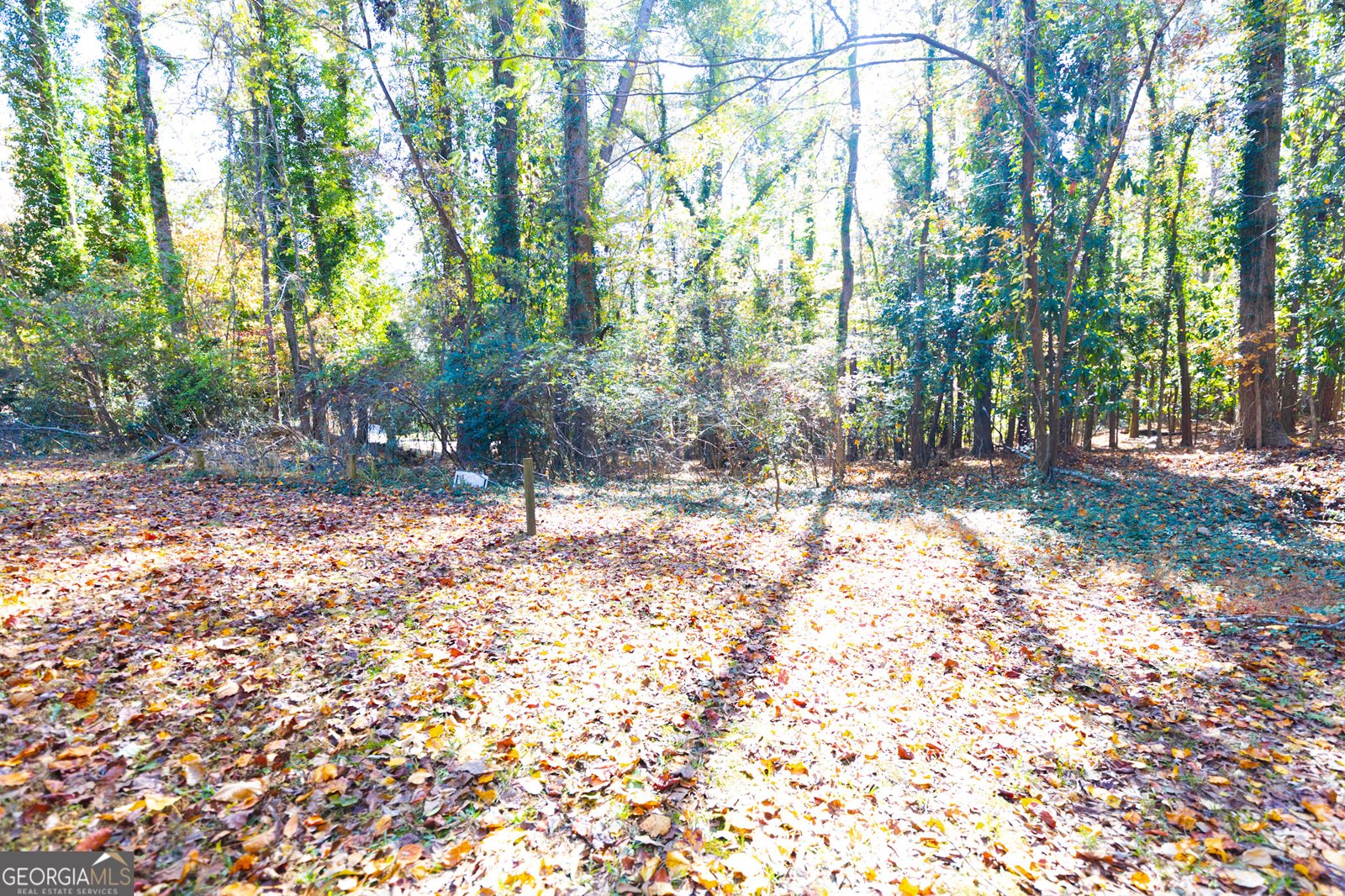 2030 Pine Oak Drive Atlanta - 4