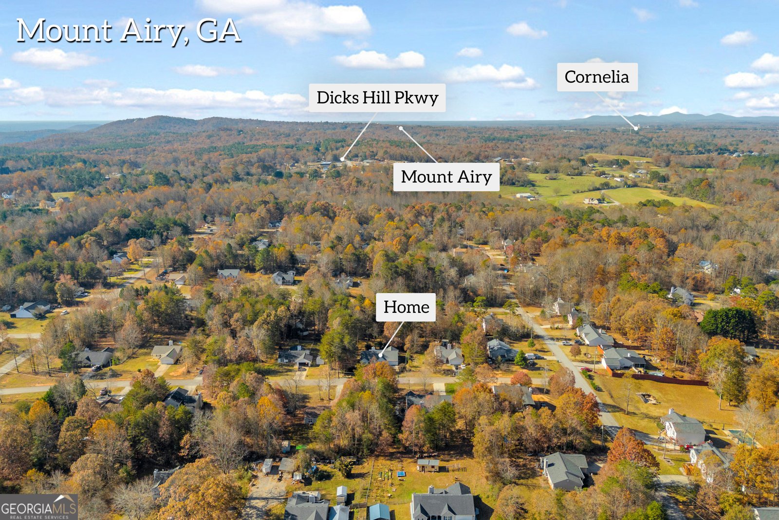 357 Sundew Lane Mount Airy - 44