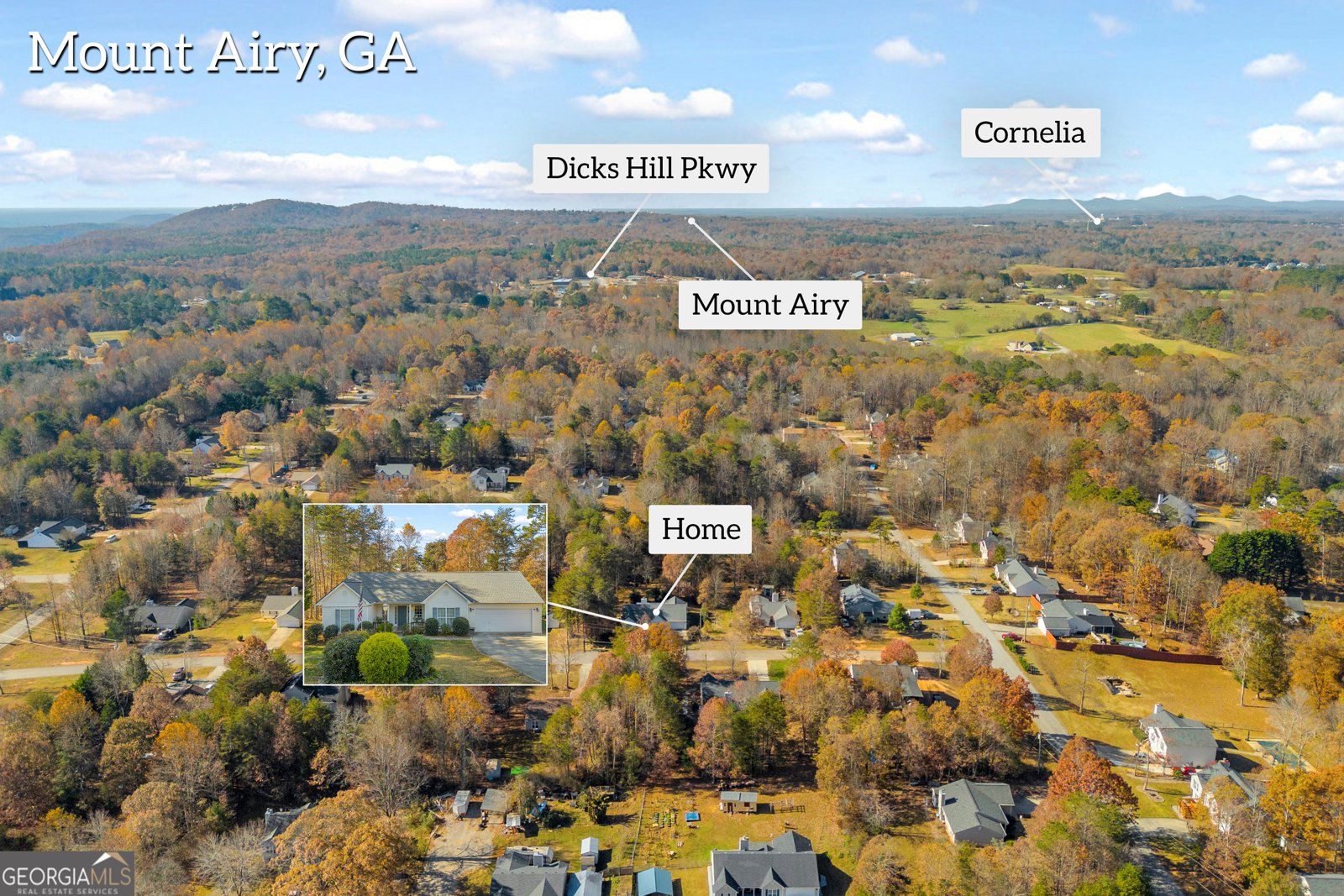 357 Sundew Lane Mount Airy - 45