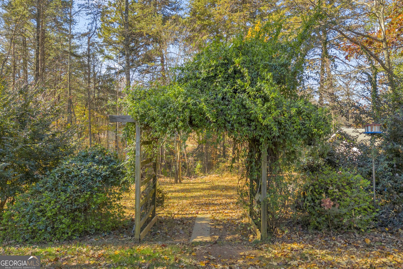 357 Sundew Lane Mount Airy - 50