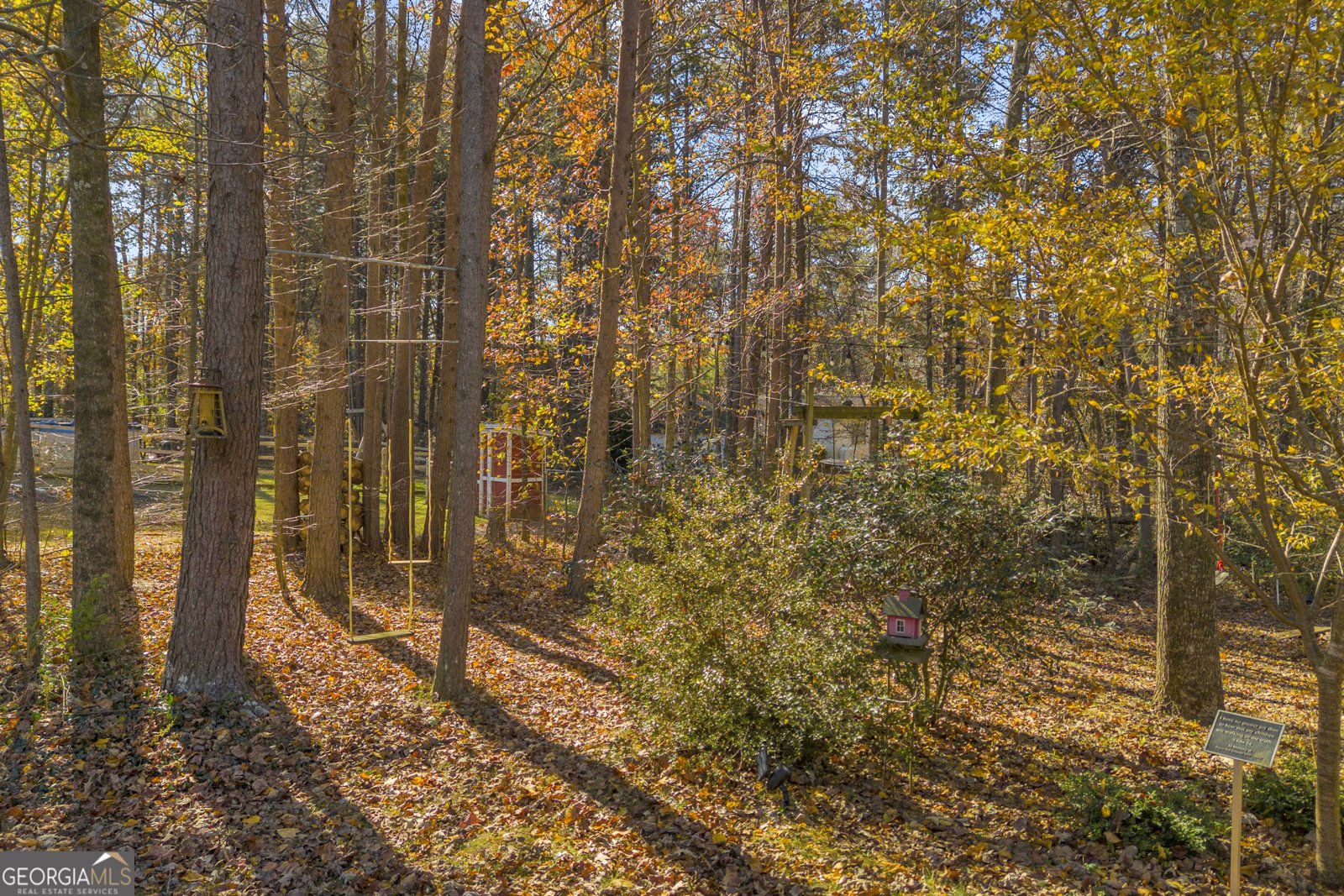 357 Sundew Lane Mount Airy - 51