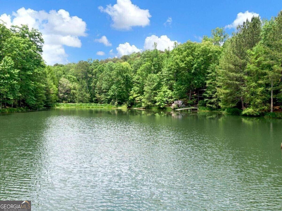 1402 Henderson Mountain Road Jasper - 13