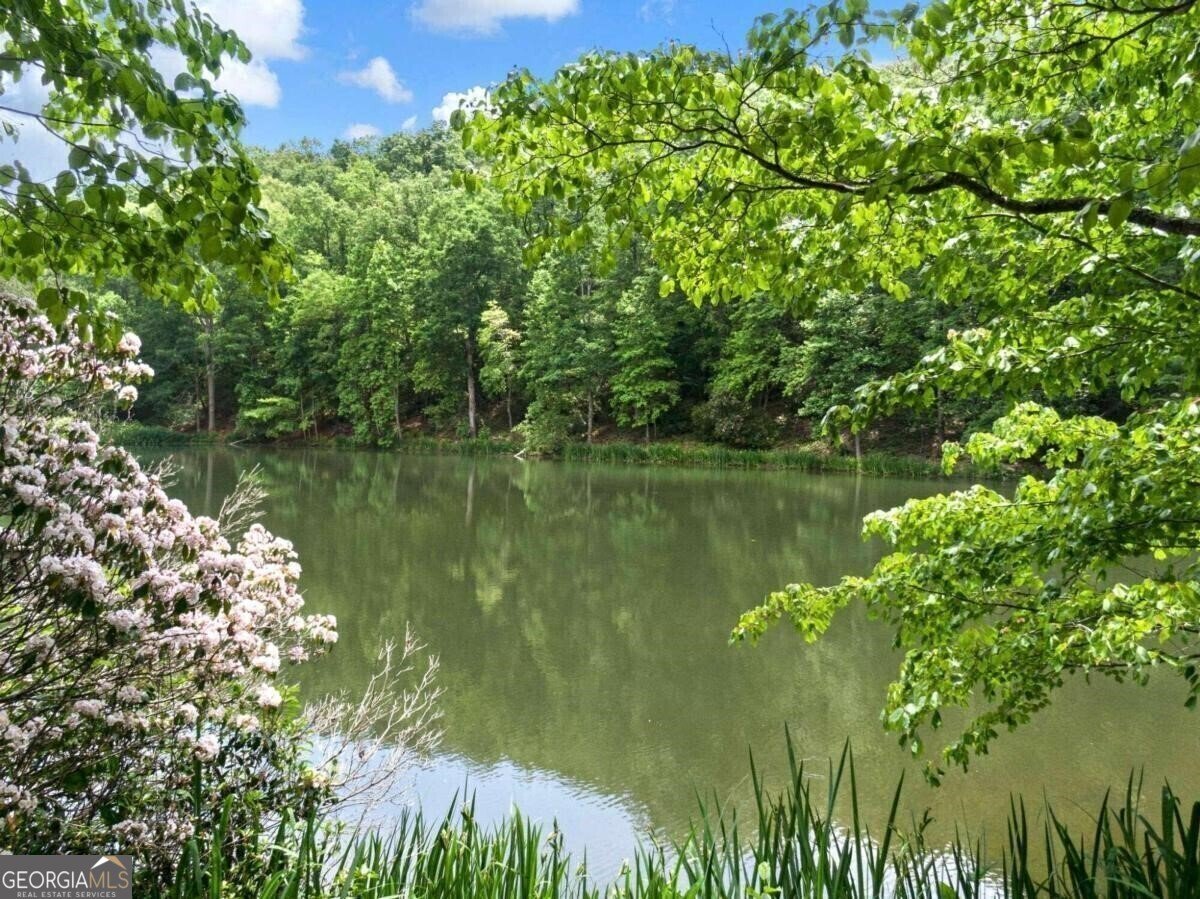 1402 Henderson Mountain Road Jasper - 15