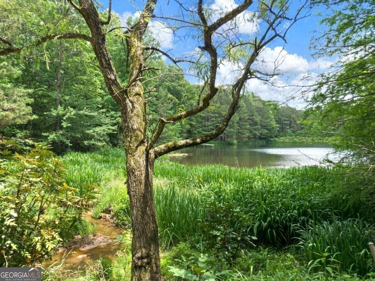 1402 Henderson Mountain Road Jasper - 16