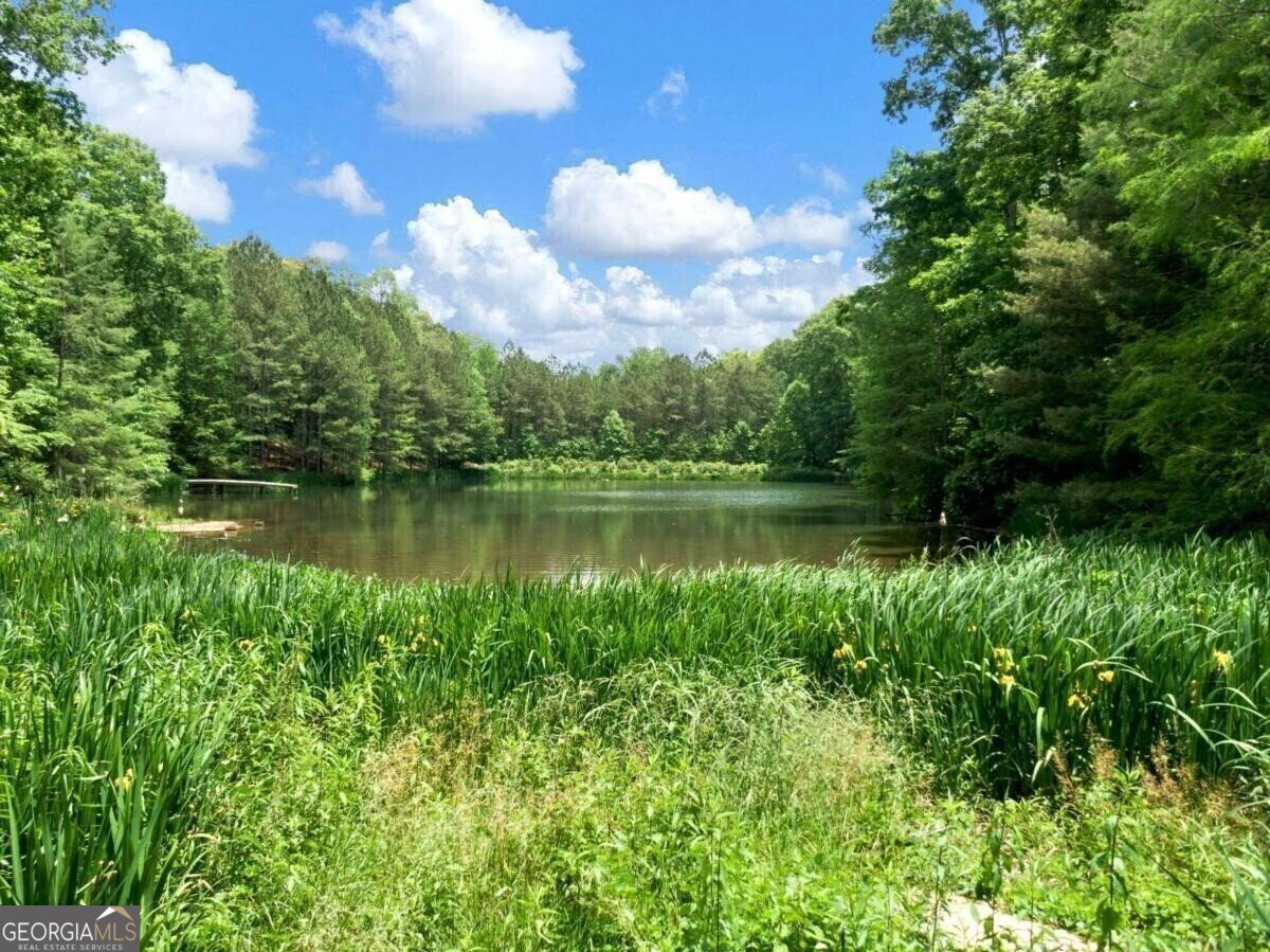 1402 Henderson Mountain Road Jasper - 17