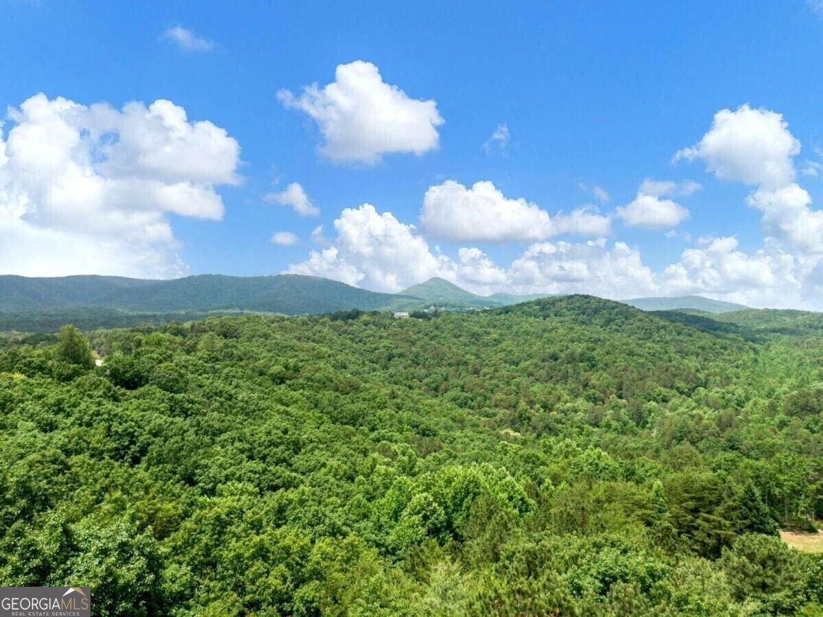 1402 Henderson Mountain Road Jasper - 19