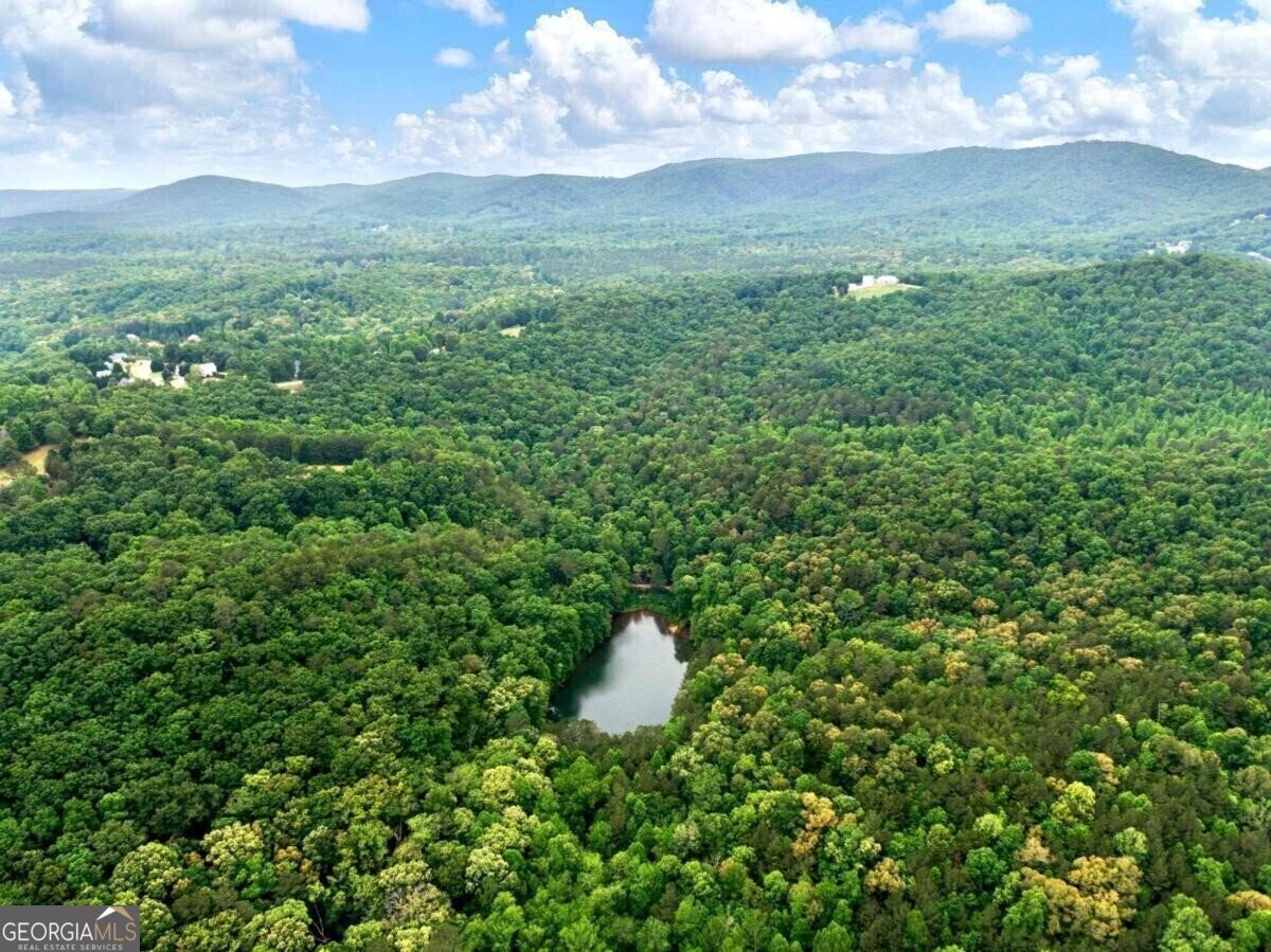 1402 Henderson Mountain Road Jasper - 23