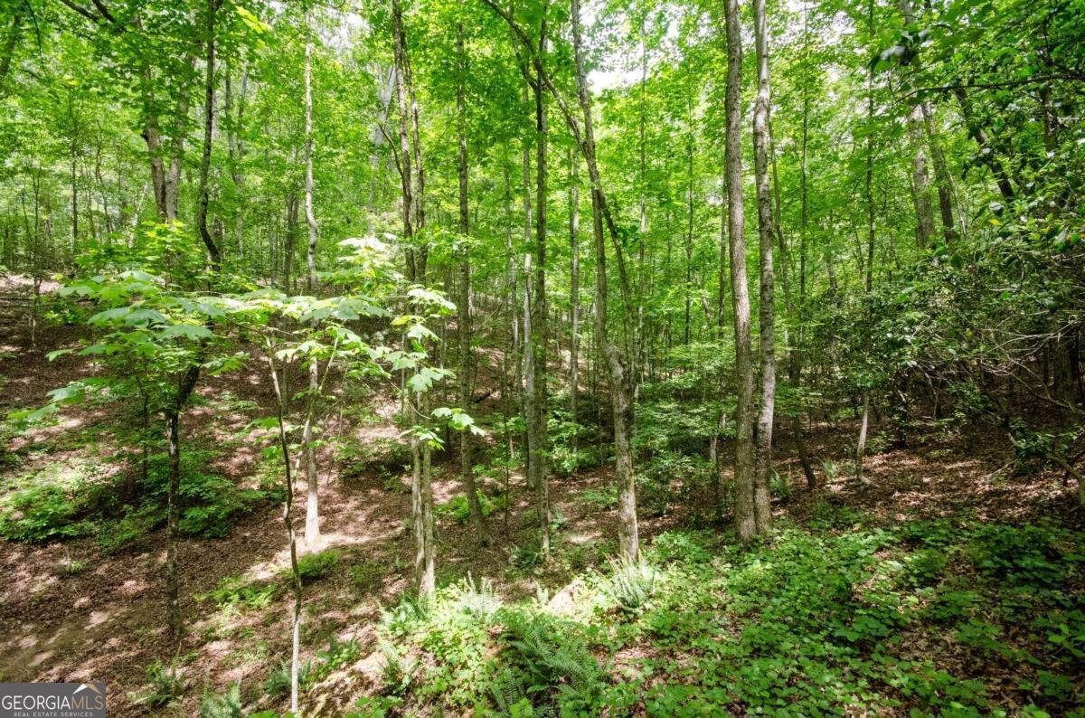 1402 Henderson Mountain Road Jasper - 26