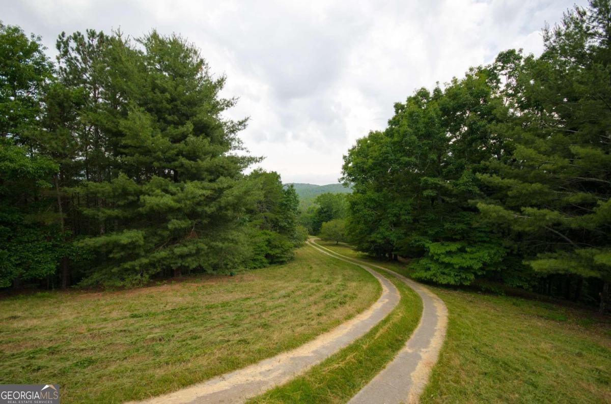 1402 Henderson Mountain Road Jasper - 28