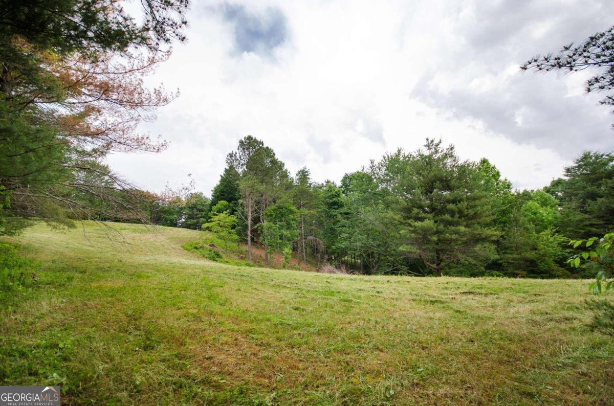 1402 Henderson Mountain Road Jasper - 29