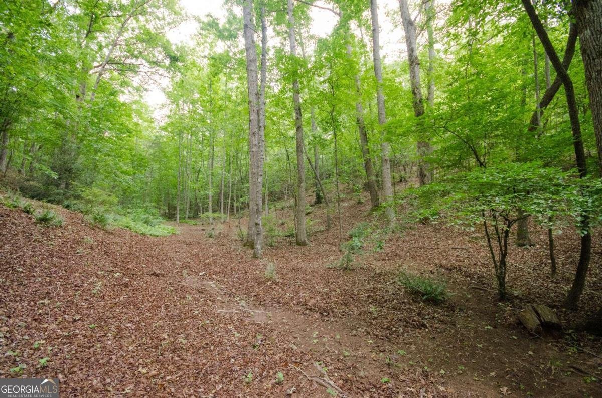 1402 Henderson Mountain Road Jasper - 76