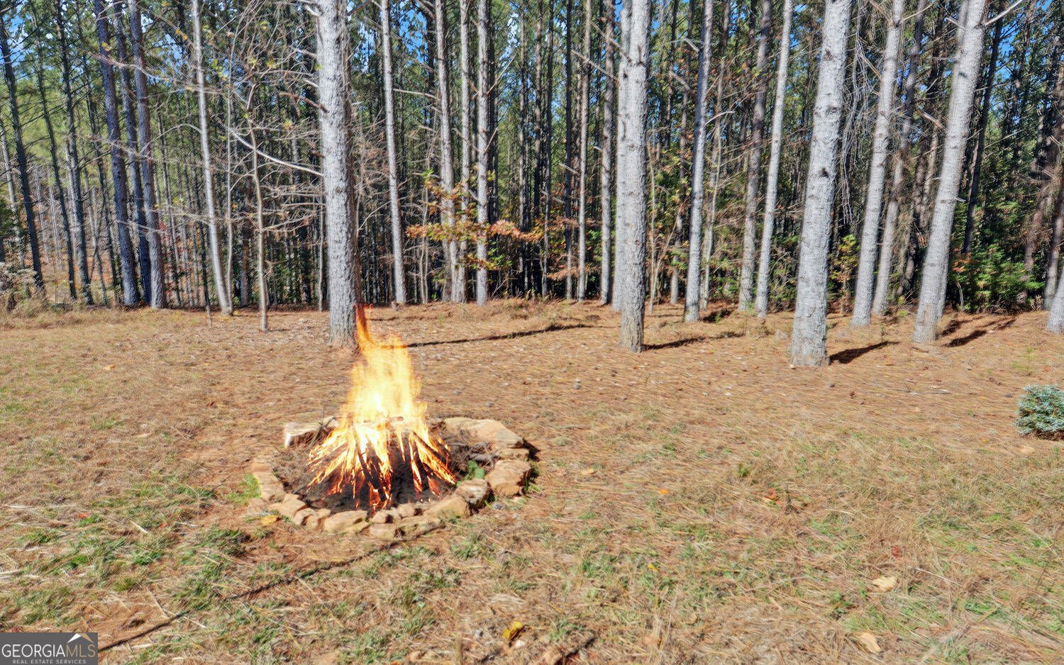 3050 Sheep Wallow Road Dahlonega - 25