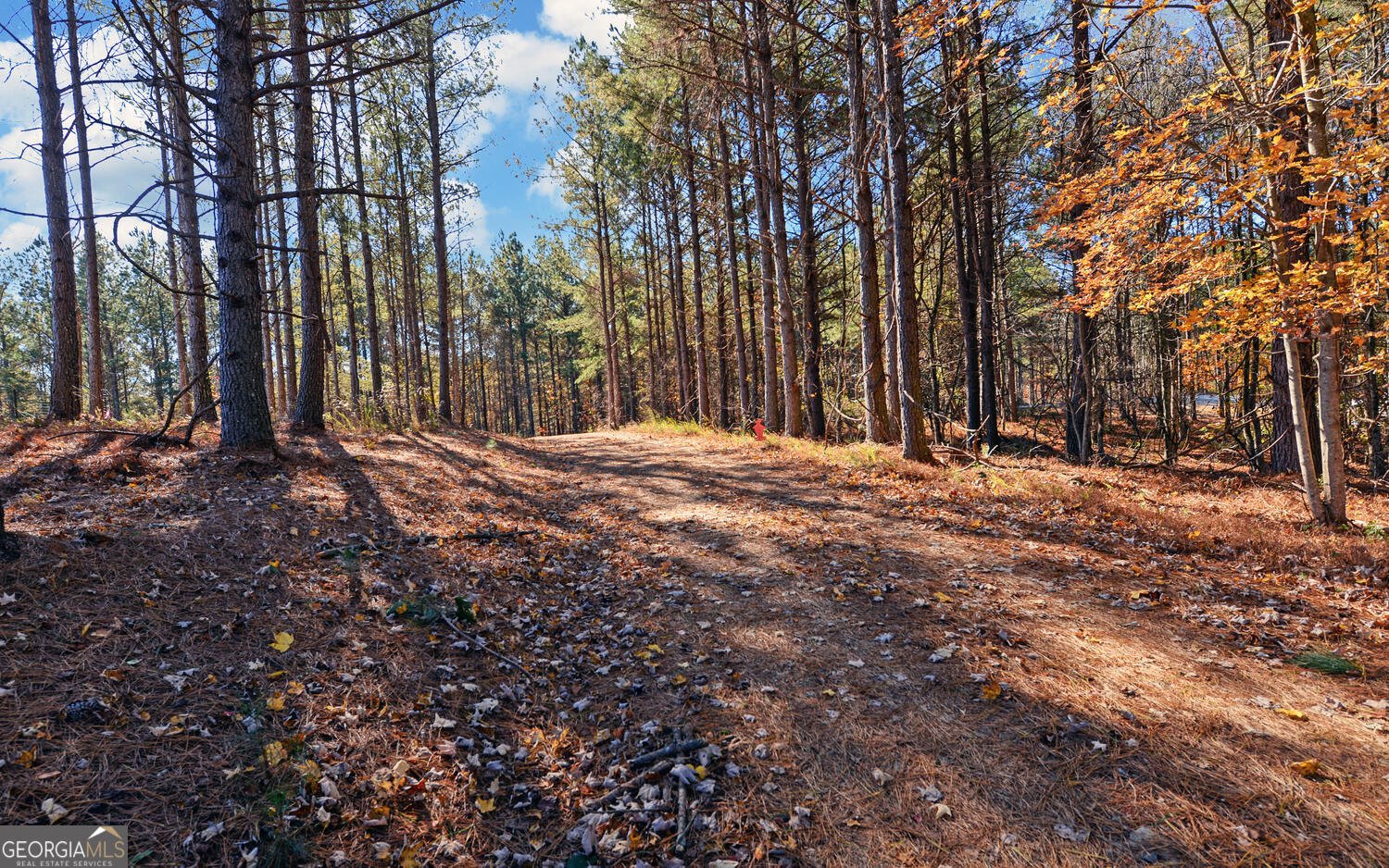 3050 Sheep Wallow Road Dahlonega - 47