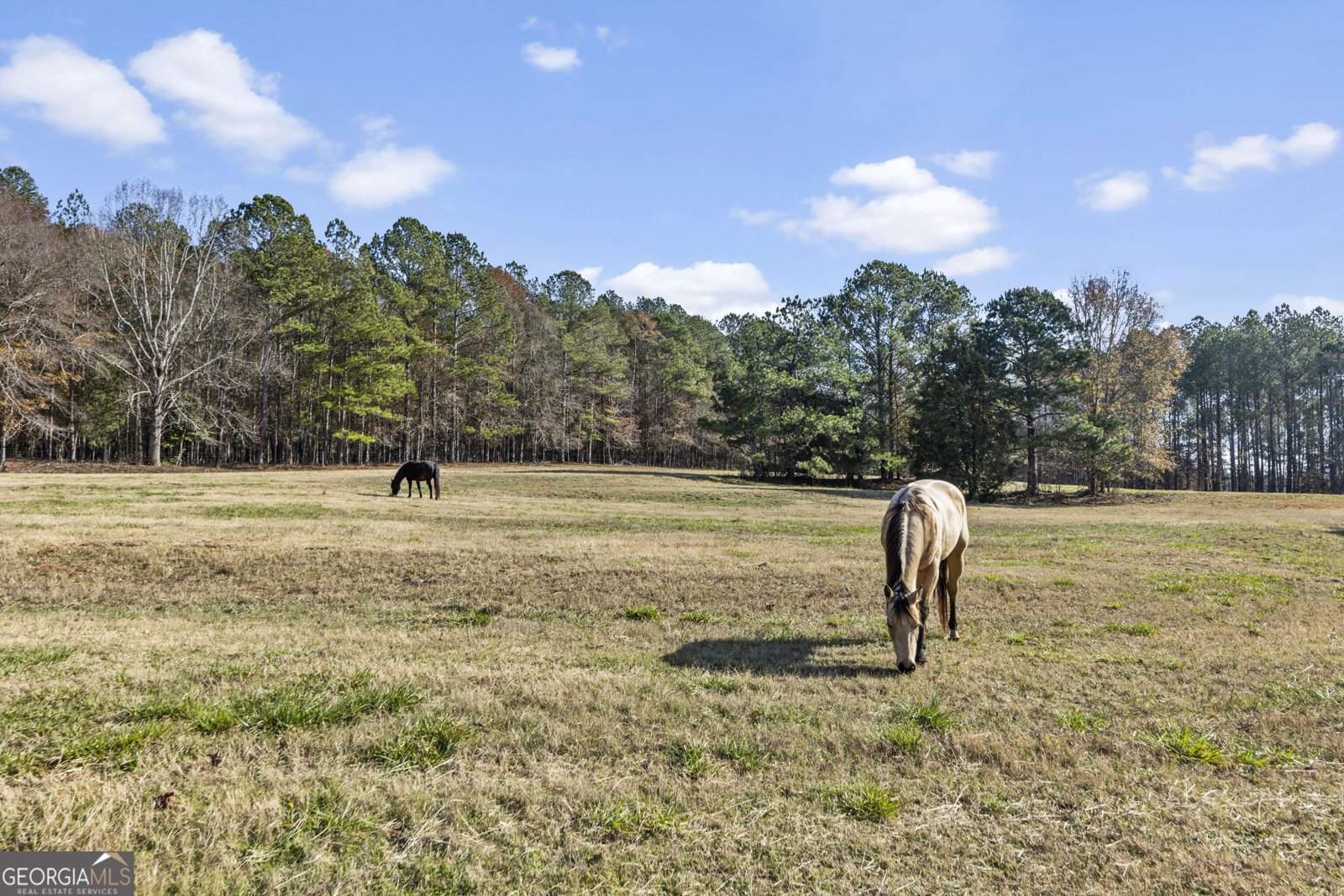 4410 Lower Apalachee Road Madison - 47