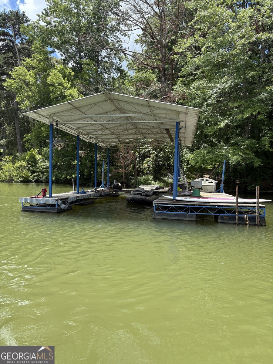 75 Lake Drive Dawsonville - 32