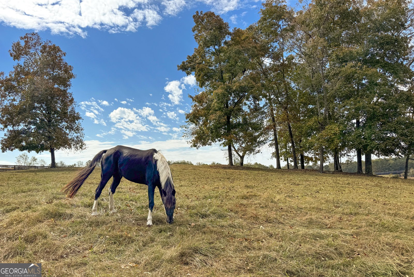 75 Lake Drive Dawsonville - 33