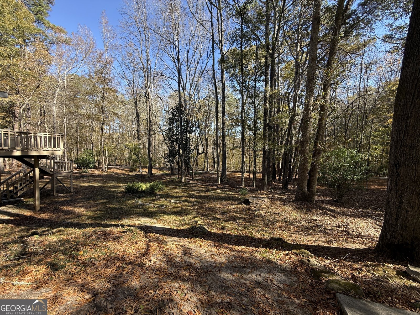 613 Preserve Place Peachtree City - 29