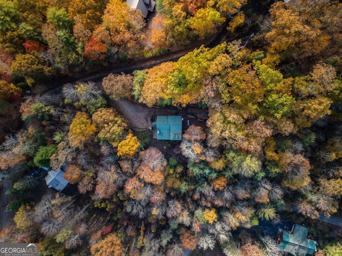 254 Aries Lane Blue Ridge - 37