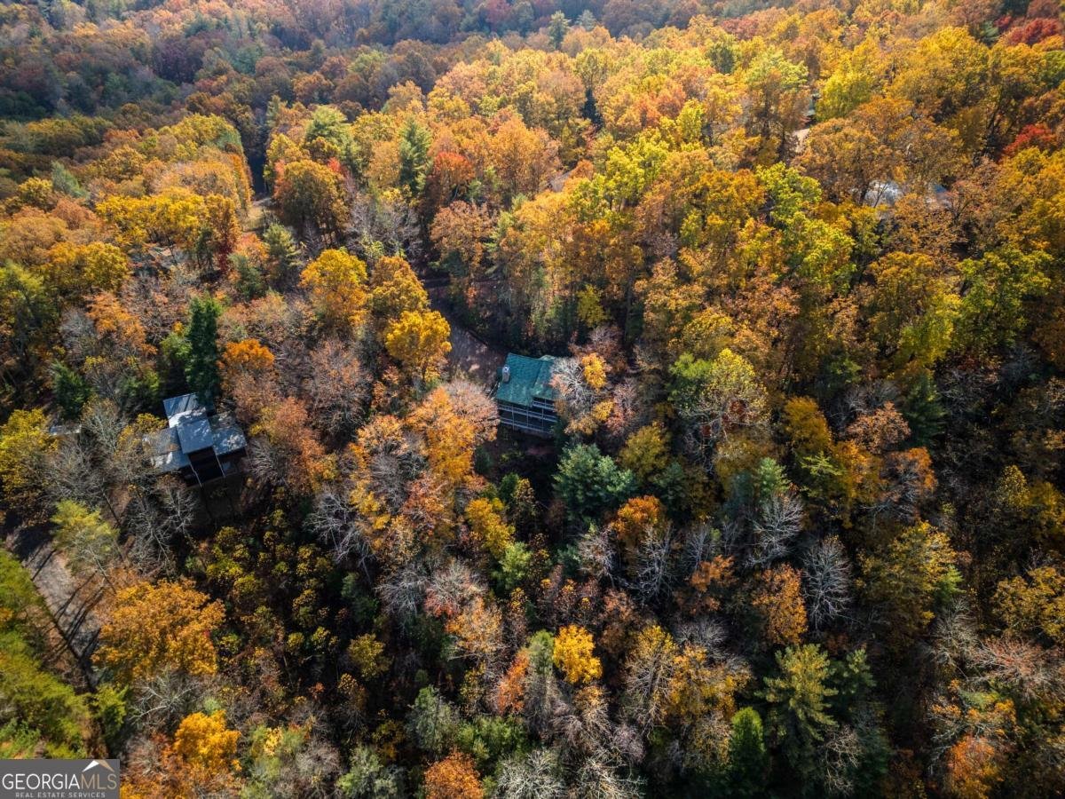 254 Aries Lane Blue Ridge - 38