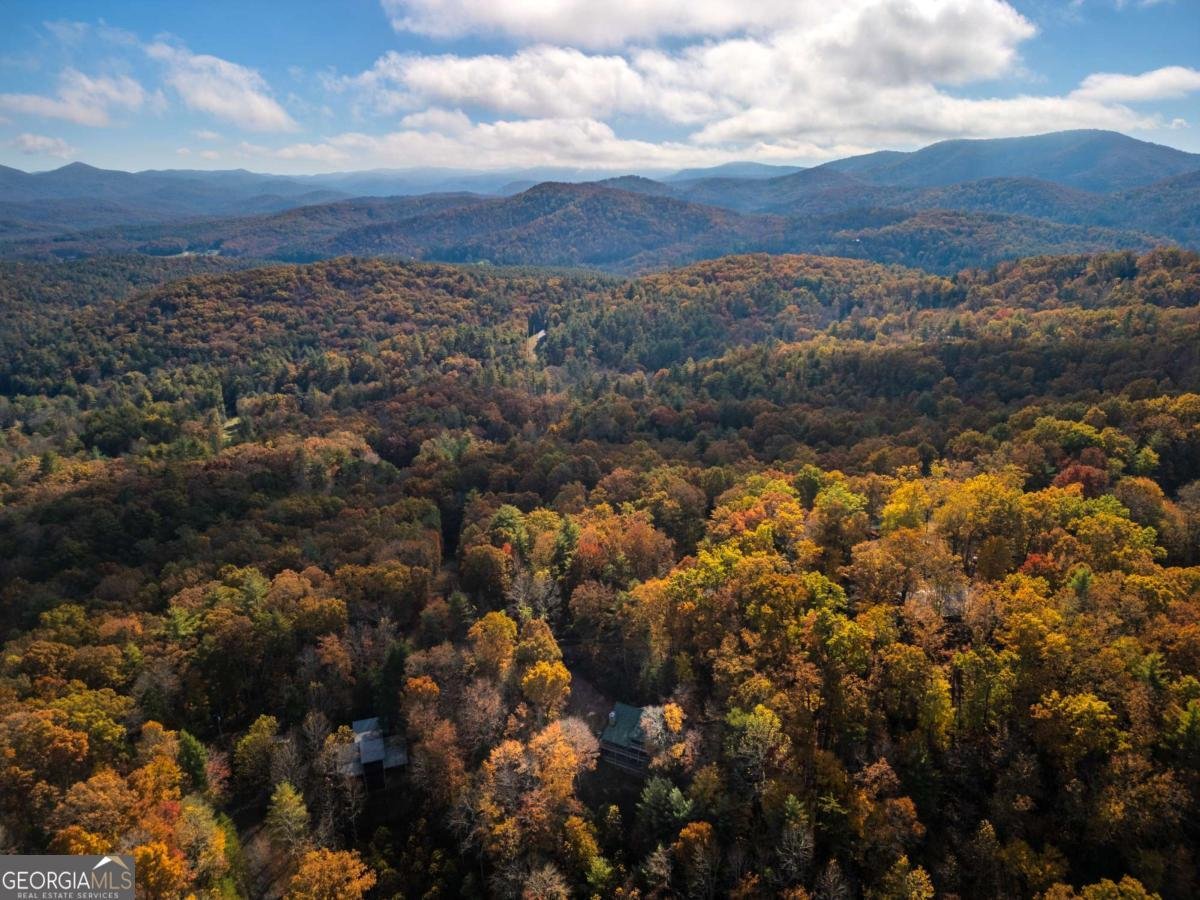 254 Aries Lane Blue Ridge - 39